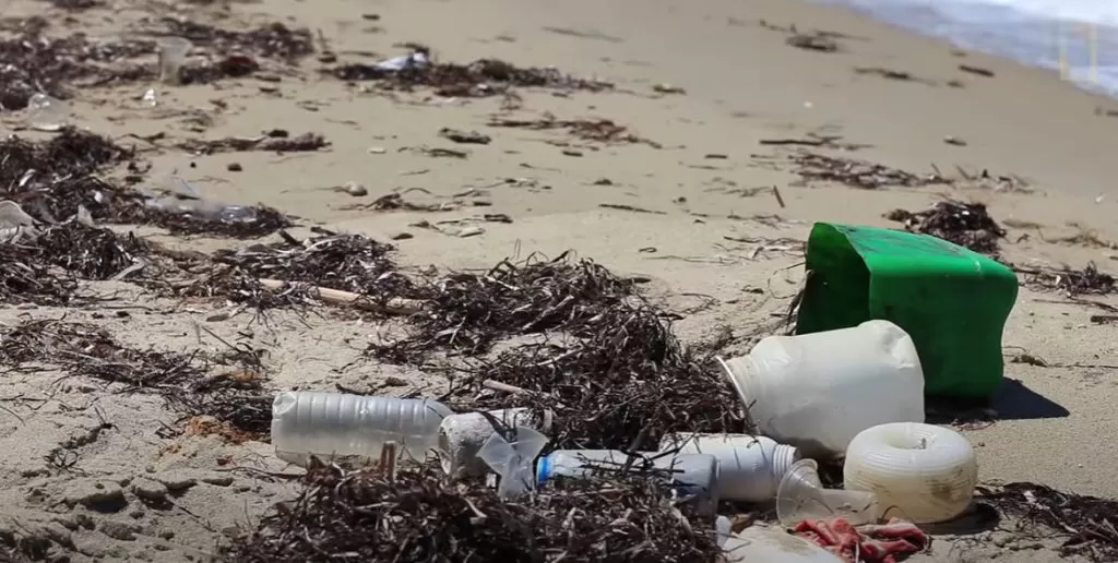 Plastiksækkeopbevaring og affaldsreduktion