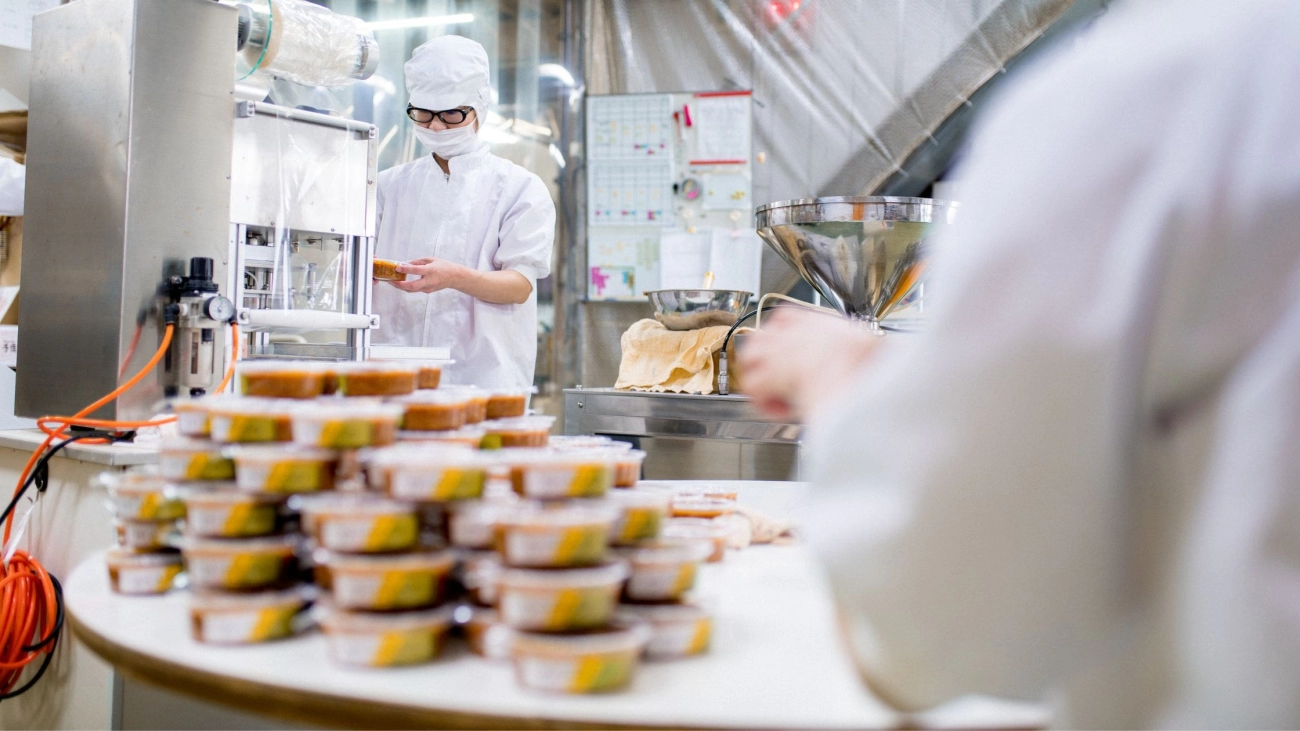 Fattori di selezione per l'imballaggio alimentare in PE