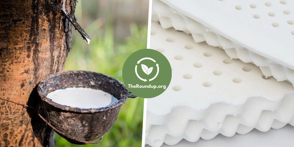 Nướng bền vững và an toàn với giấy bạc