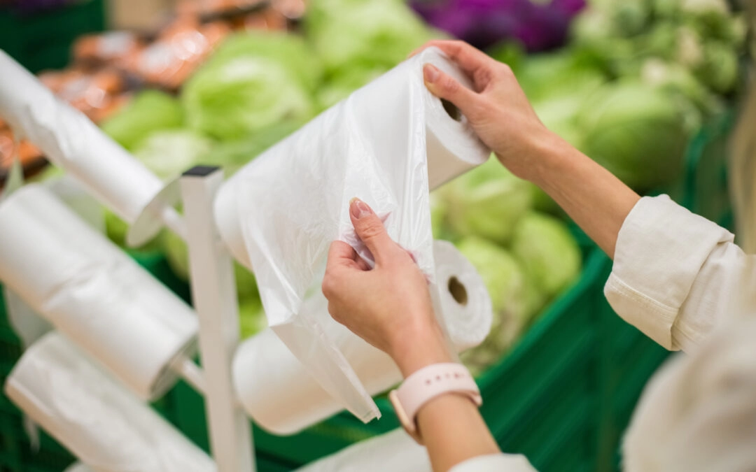 Advantages of pe food storage bags