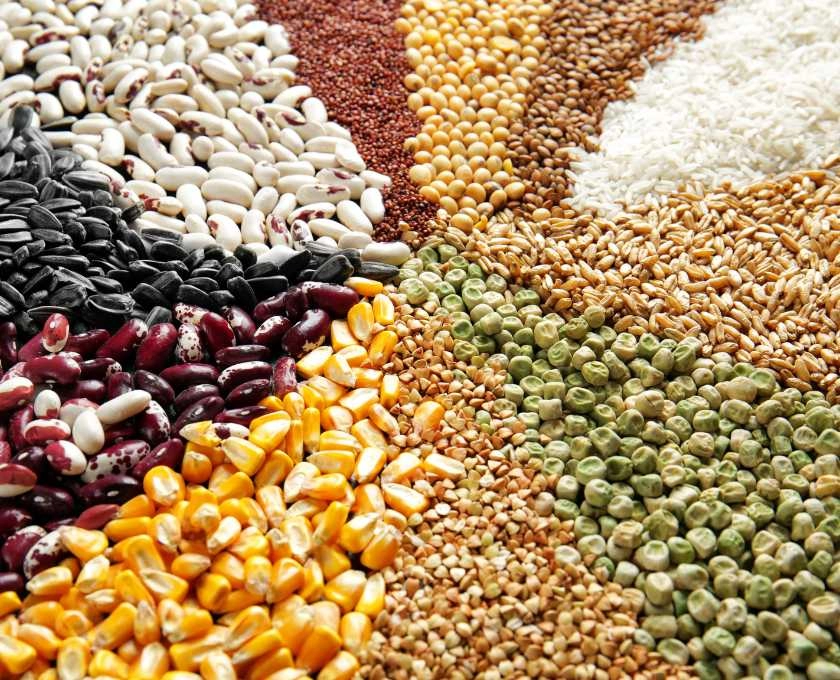 Meilleures méthodes de conservation alimentaire à long terme avec des sacs en pe durables 1 Principes de base de la conservation alimentaire à long terme