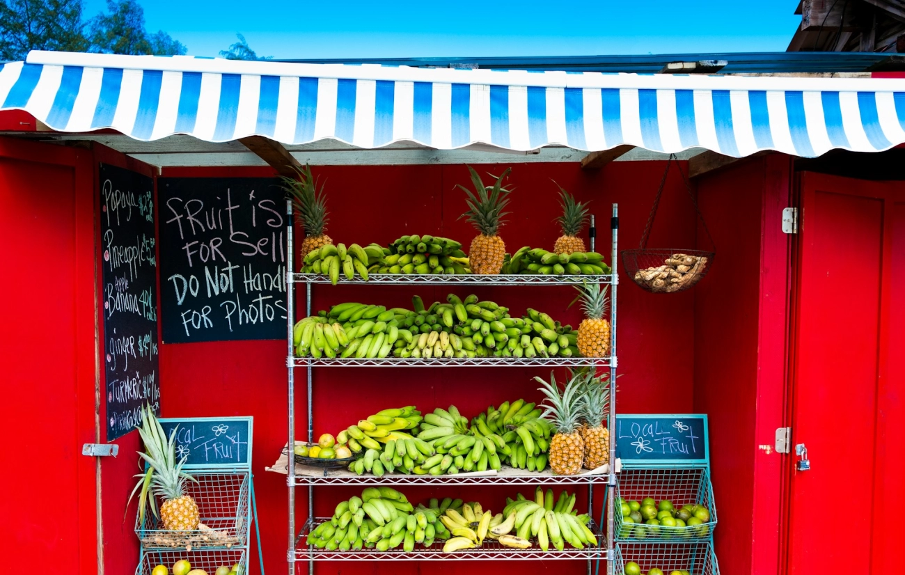 Shelf life extension packaging technology